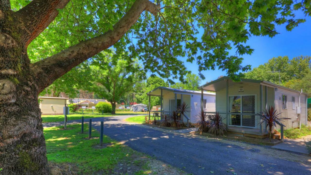 Myrtleford Holiday Park Dış mekan fotoğraf